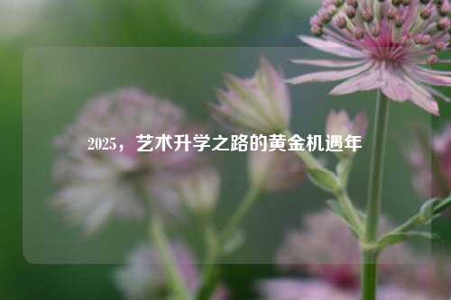 2025，艺术升学之路的黄金机遇年