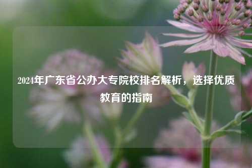 2024年广东省公办大专院校排名解析，选择优质教育的指南