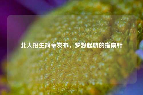 北大招生简章发布，梦想起航的指南针