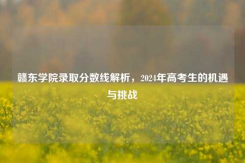 赣东学院录取分数线解析，2024年高考生的机遇与挑战