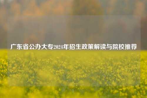 广东省公办大专2024年招生政策解读与院校推荐