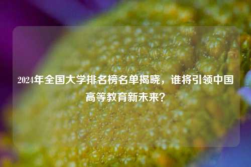 2024年全国大学排名榜名单揭晓，谁将引领中国高等教育新未来？
