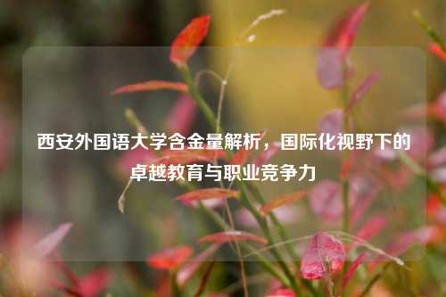 西安外国语大学含金量解析，国际化视野下的卓越教育与职业竞争力