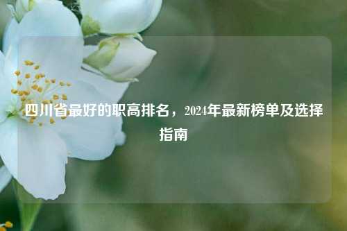 四川省最好的职高排名，2024年最新榜单及选择指南