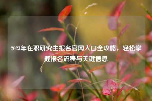 2023年在职研究生报名官网入口全攻略，轻松掌握报名流程与关键信息