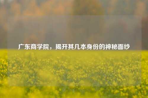 广东商学院，揭开其几本身份的神秘面纱