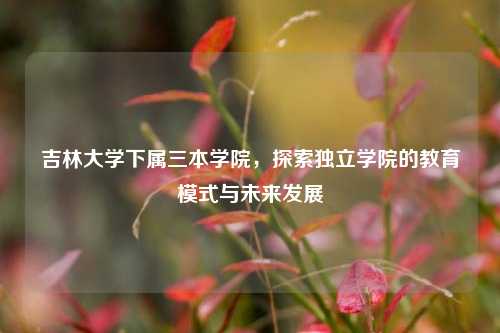吉林大学下属三本学院，探索独立学院的教育模式与未来发展