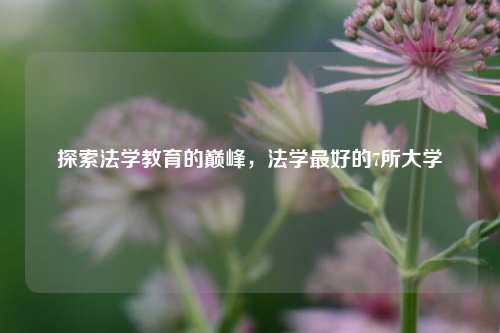 探索法学教育的巅峰，法学最好的7所大学