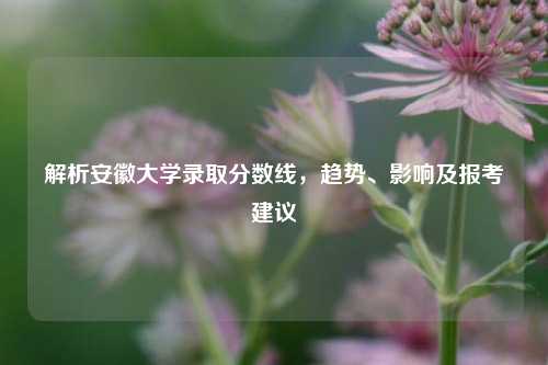 解析安徽大学录取分数线，趋势、影响及报考建议