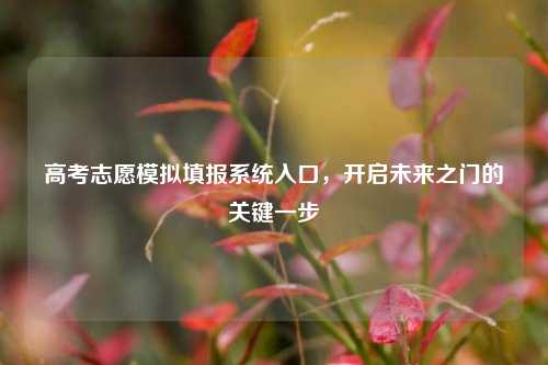 高考志愿模拟填报系统入口，开启未来之门的关键一步