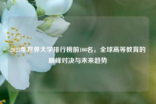 2023年世界大学排行榜前100名，全球高等教育的巅峰对决与未来趋势
