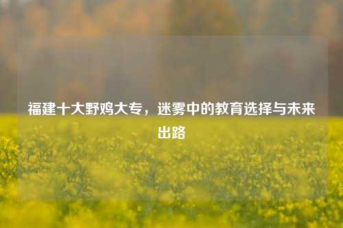 福建十大野鸡大专，迷雾中的教育选择与未来出路