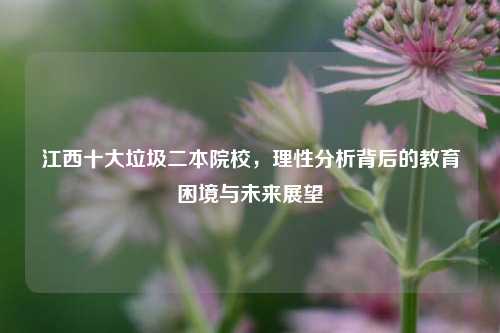 江西十大垃圾二本院校，理性分析背后的教育困境与未来展望