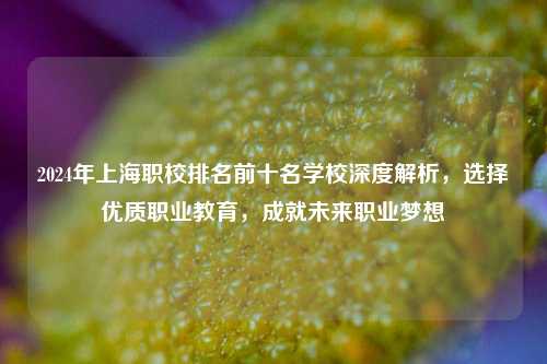 2024年上海职校排名前十名学校深度解析，选择优质职业教育，成就未来职业梦想
