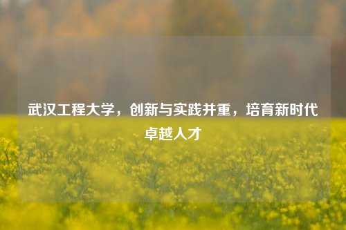 武汉工程大学，创新与实践并重，培育新时代卓越人才