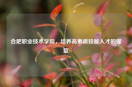 合肥职业技术学院，培养高素质技能人才的摇篮