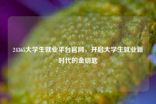 24365大学生就业平台官网，开启大学生就业新时代的金钥匙