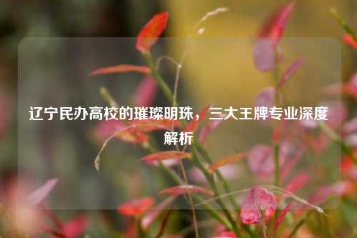 辽宁民办高校的璀璨明珠，三大王牌专业深度解析
