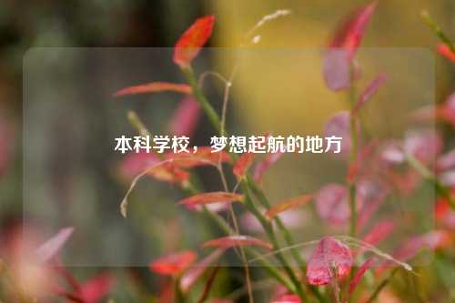 本科学校，梦想起航的地方
