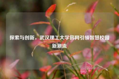 探索与创新，武汉理工大学官网引领智慧校园新潮流