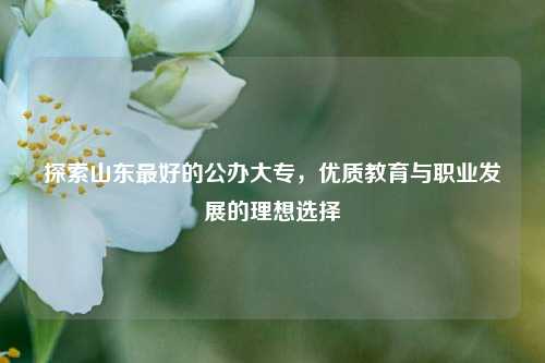 探索山东最好的公办大专，优质教育与职业发展的理想选择