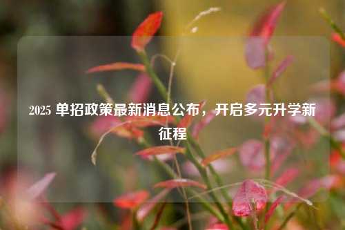 2025 单招政策最新消息公布，开启多元升学新征程