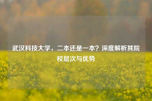 武汉科技大学，二本还是一本？深度解析其院校层次与优势