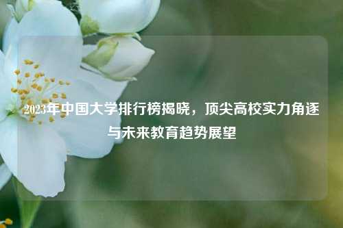 2023年中国大学排行榜揭晓，顶尖高校实力角逐与未来教育趋势展望