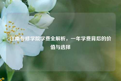 江南专修学院学费全解析，一年学费背后的价值与选择