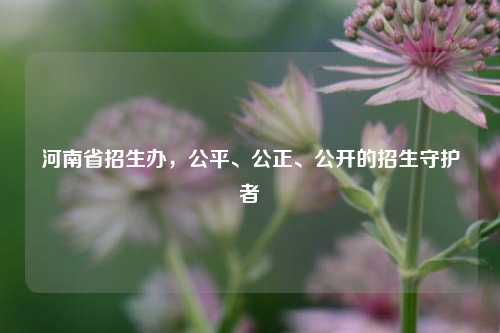 河南省招生办，公平、公正、公开的招生守护者