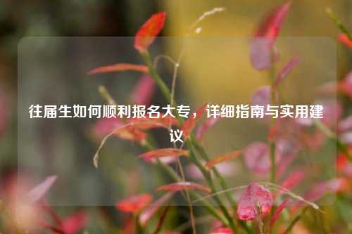 往届生如何顺利报名大专，详细指南与实用建议