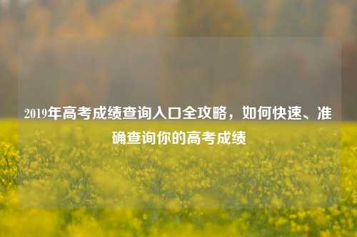 2019年高考成绩查询入口全攻略，如何快速、准确查询你的高考成绩