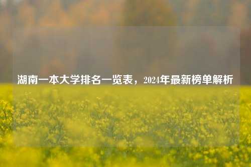 湖南一本大学排名一览表，2024年最新榜单解析