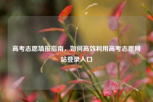 高考志愿填报指南，如何高效利用高考志愿网站登录入口