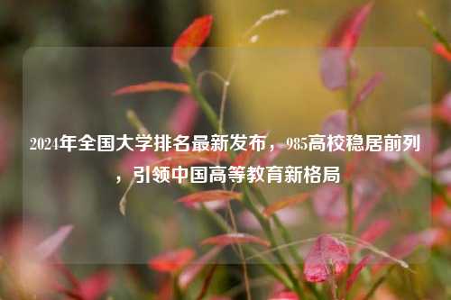 2024年全国大学排名最新发布，985高校稳居前列，引领中国高等教育新格局