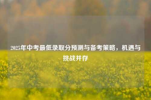 2025年中考最低录取分预测与备考策略，机遇与挑战并存