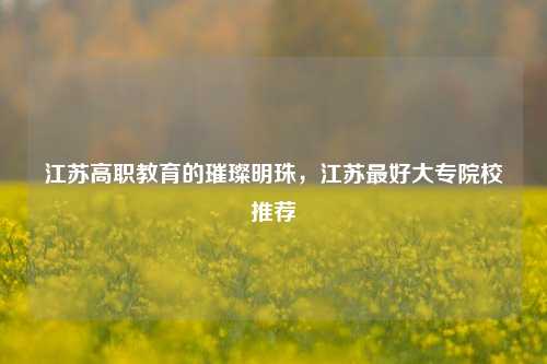 江苏高职教育的璀璨明珠，江苏最好大专院校推荐