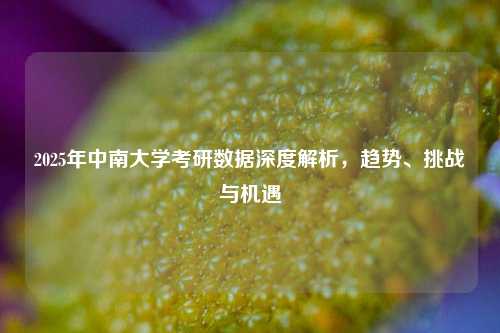 2025年中南大学考研数据深度解析，趋势、挑战与机遇