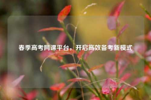 春季高考网课平台，开启高效备考新模式