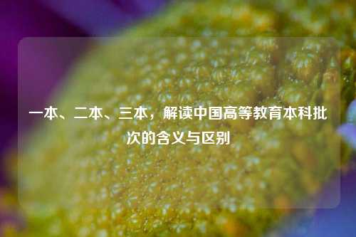 一本、二本、三本，解读中国高等教育本科批次的含义与区别