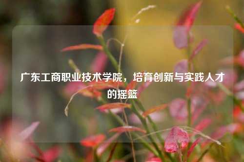 广东工商职业技术学院，培育创新与实践人才的摇篮