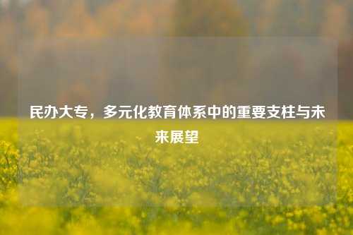 民办大专，多元化教育体系中的重要支柱与未来展望