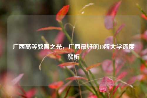 广西高等教育之光，广西最好的10所大学深度解析