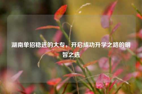 湖南单招稳进的大专，开启成功升学之路的明智之选