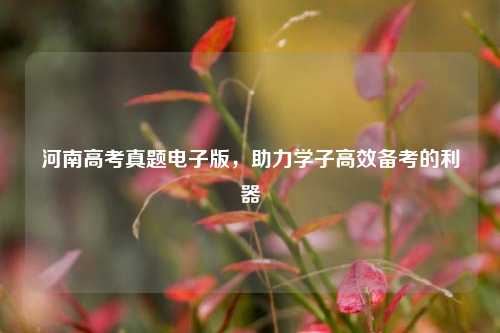 河南高考真题电子版，助力学子高效备考的利器