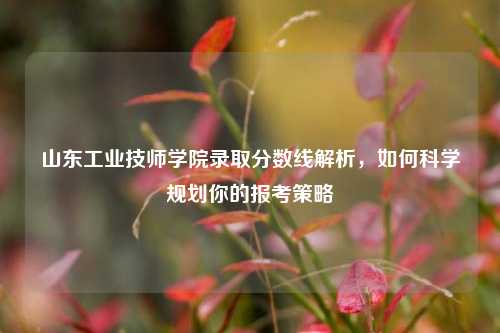 山东工业技师学院录取分数线解析，如何科学规划你的报考策略
