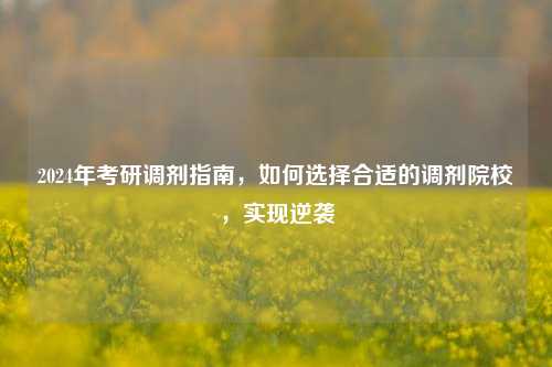 2024年考研调剂指南，如何选择合适的调剂院校，实现逆袭