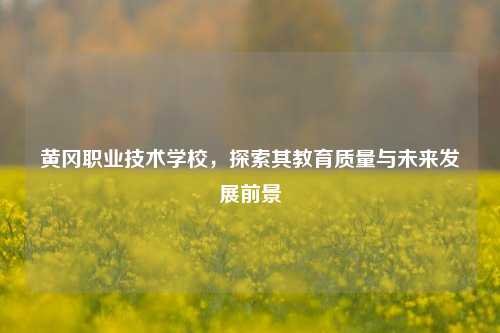黄冈职业技术学校，探索其教育质量与未来发展前景