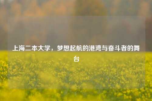 上海二本大学，梦想起航的港湾与奋斗者的舞台