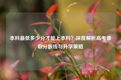 本科最低多少分才能上本科？深度解析高考录取分数线与升学策略